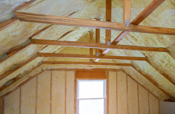 Best Cellulose Insulation in Steelville, MO